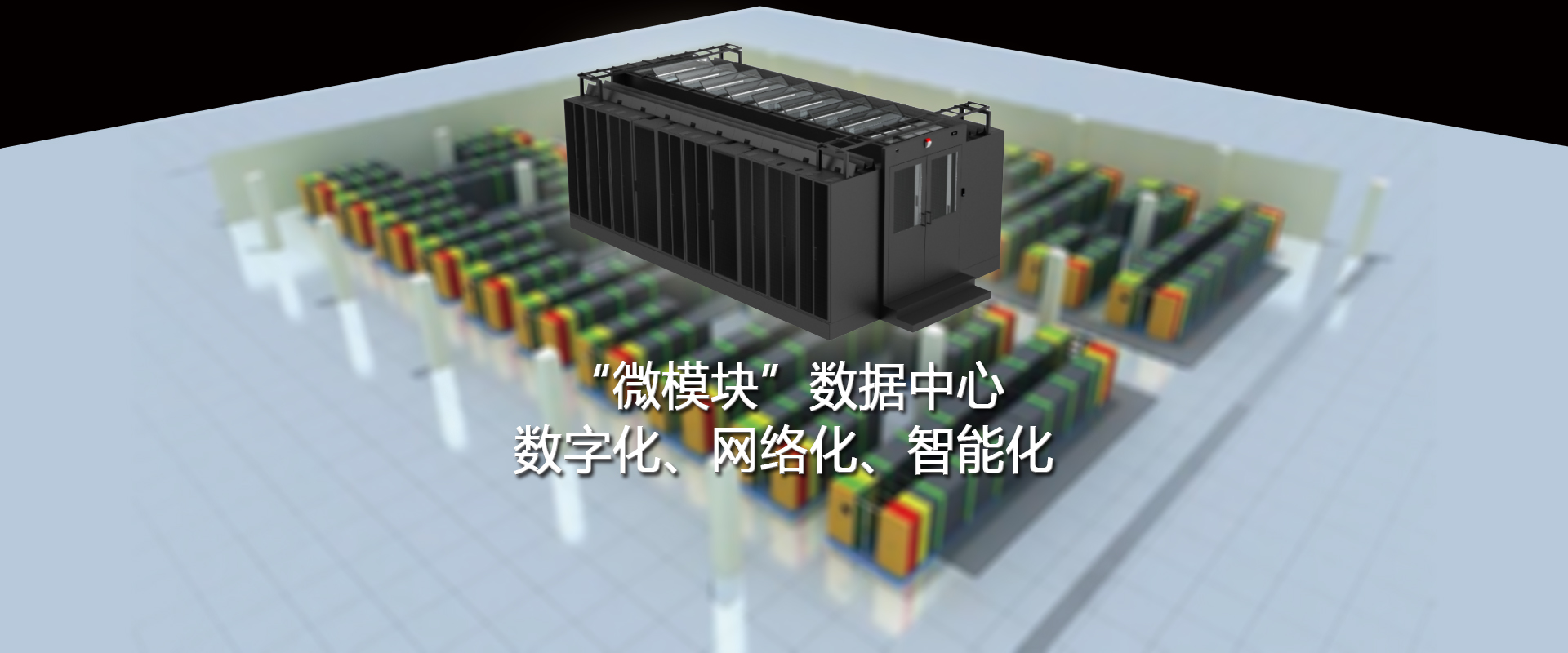 T8国际