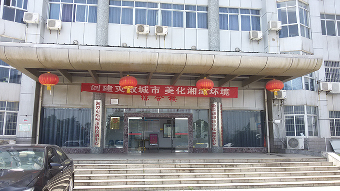 T8国际