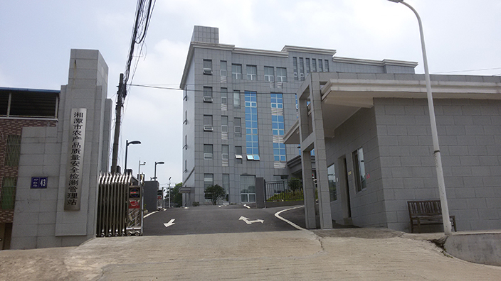 T8国际